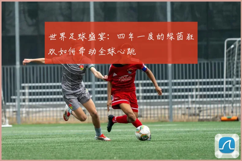 世界足球盛宴：四年一度的绿茵狂欢如何牵动全球心跳